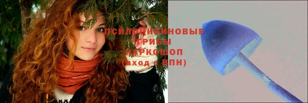 прущая мука Гусь-Хрустальный