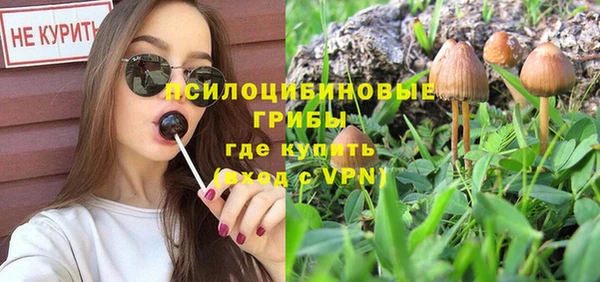 прущая мука Гусь-Хрустальный