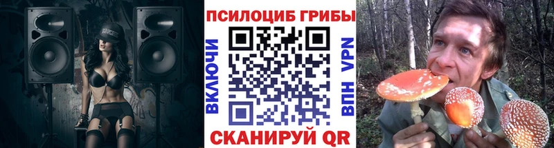 Псилоцибиновые грибы прущие грибы  Купить  Никольск 
